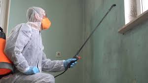 Why You Should Choose Our Mold Remediation Services in Lewisville, TX