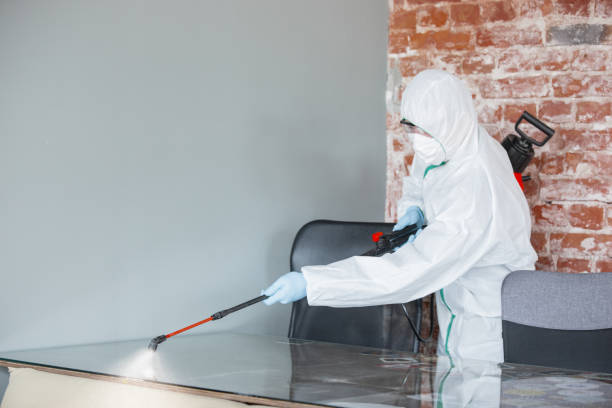 Best Mold Prevention Services in Lewisville, TX